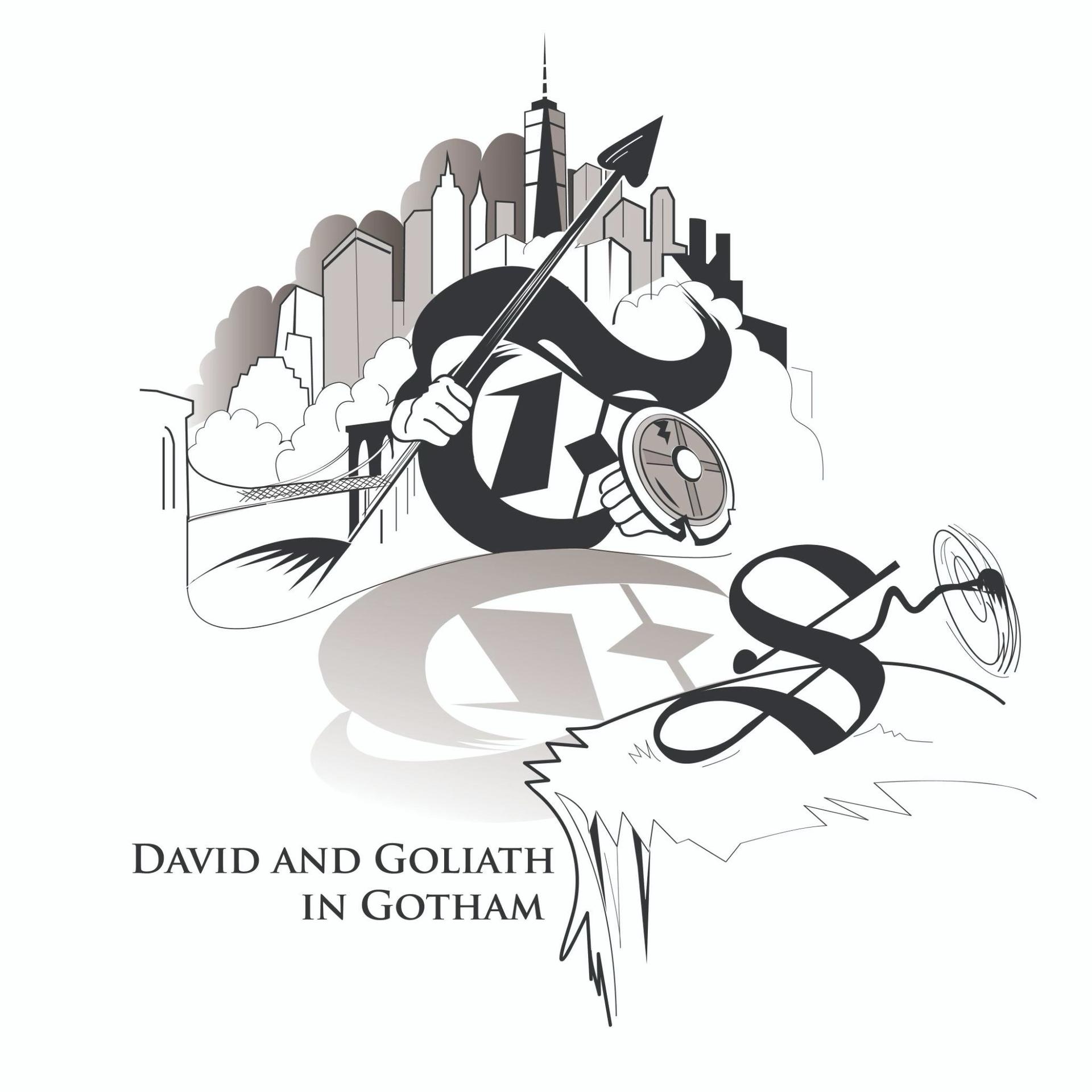 NYT v NYS Dovid and Goliath