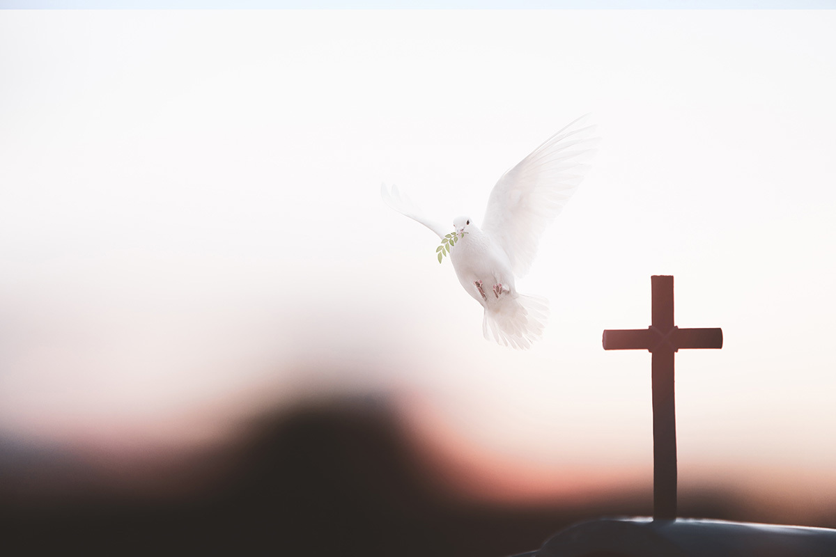 https://cdn.christianpost.com/files/original/thumbnail/27/01/270103.jpg