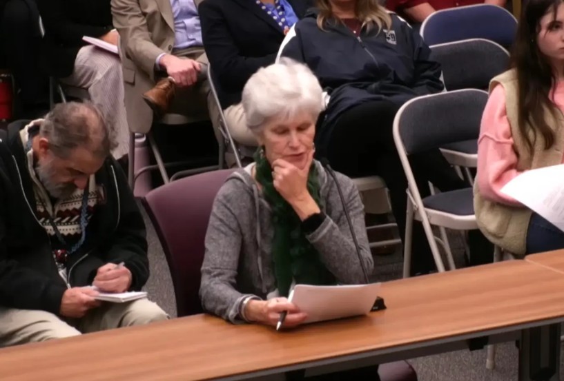 Nancy - the Leftist Karen