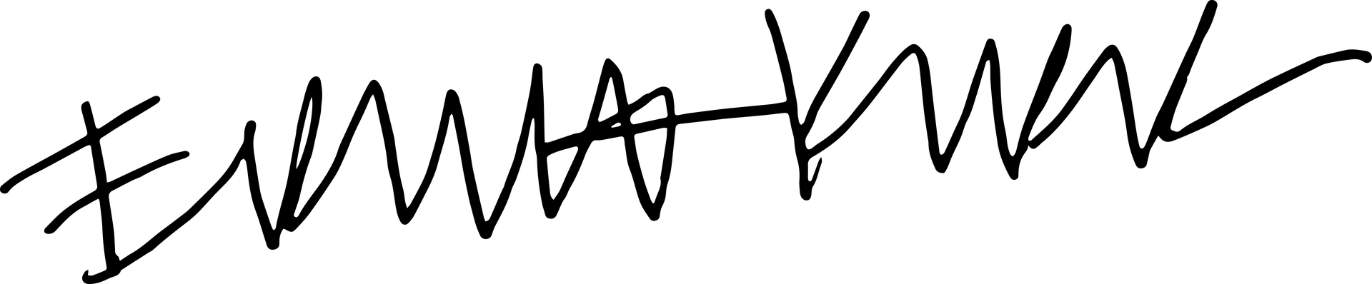 Erika Kirk Signature